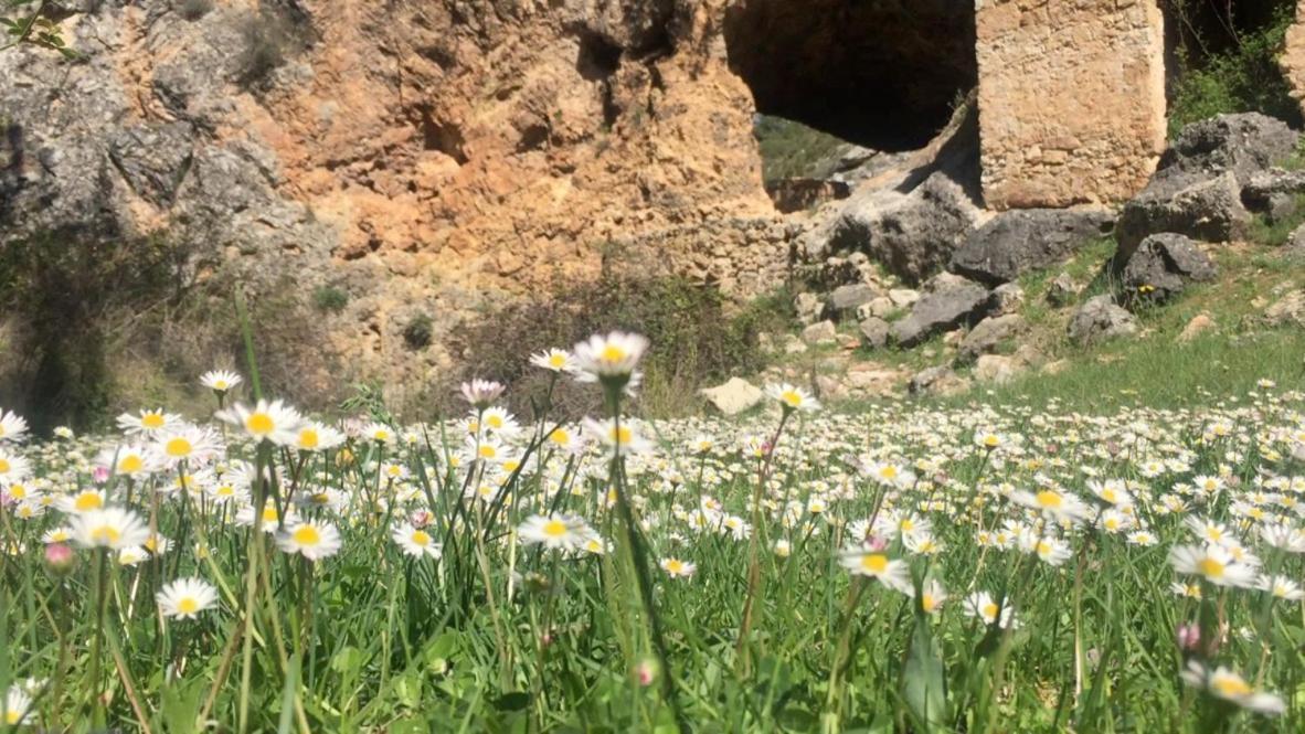 Вилла La Escapada Cuenca Пахаронсильо Экстерьер фото